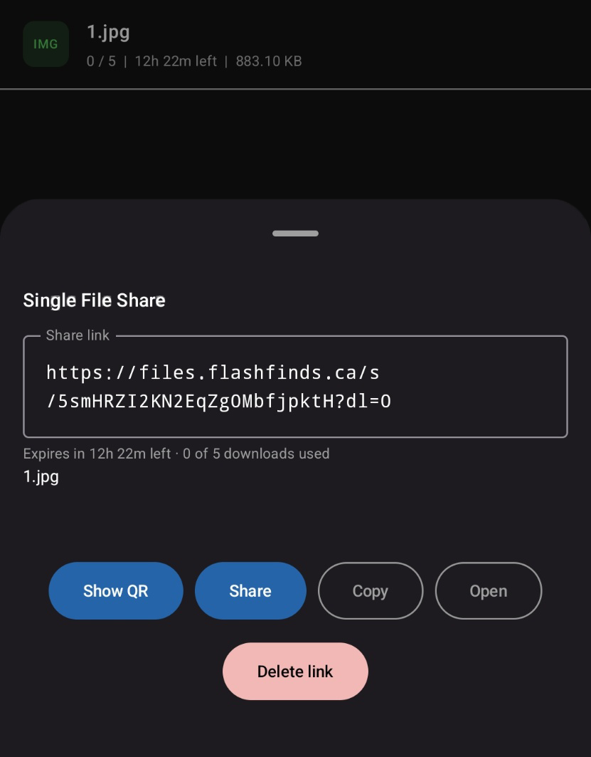 Single file sharing with expiry and download limits